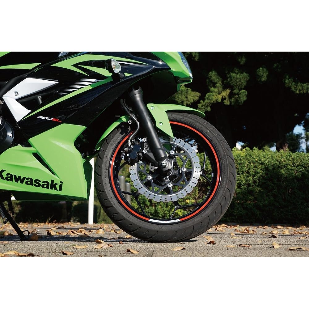 World Walk Ninja250 Ninja250SL Rim Sticker Silver ninja250-rim_s