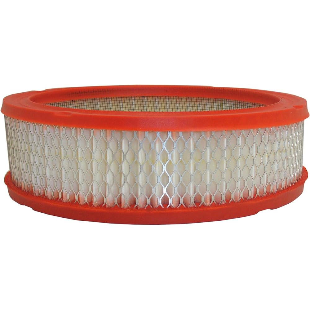 Fram GroupCA3647Air Filter-AIR FILTER (Parallel Import)
