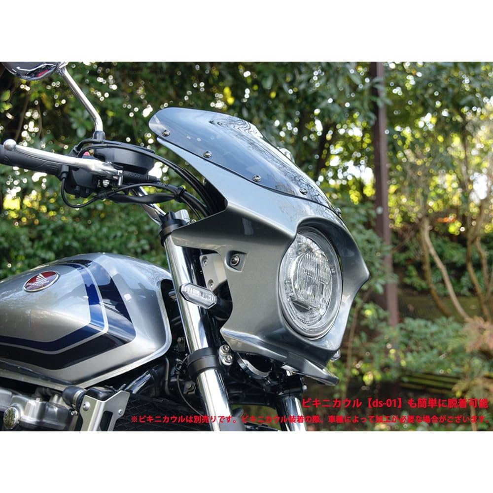Alternative screen middle smoke ws-27-1sm for World Walk XJR1300