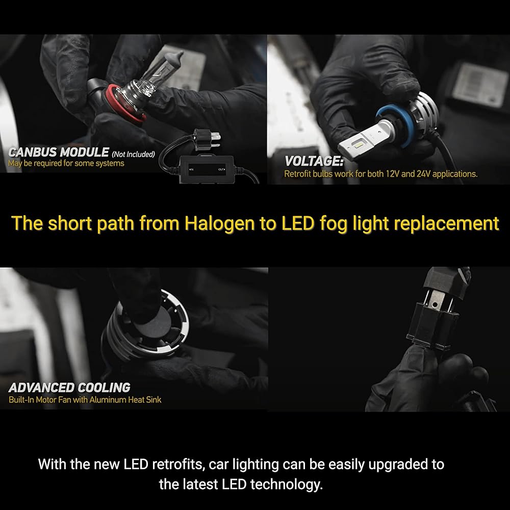 HELLA Heller Head/Fog Light Retrofit LED Bulb H8/H11/H16