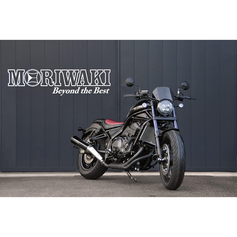 Moriwaki Radiator Core Guard, Silver, 21- REBEL1100 01911-201T5-00