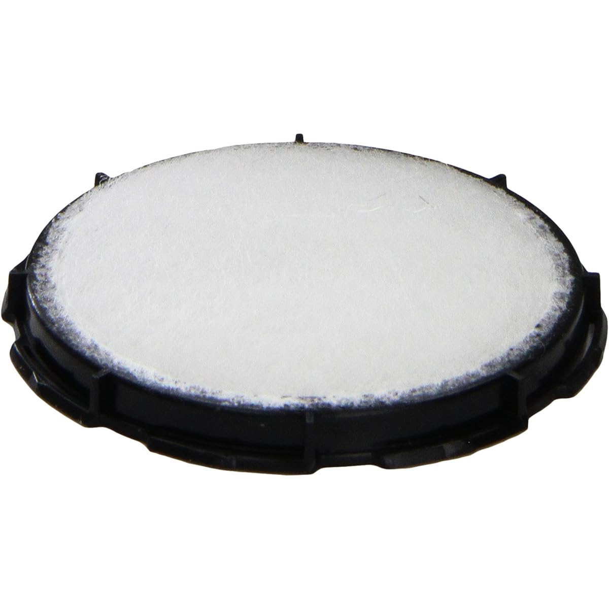 MotorCraft FS100 filter