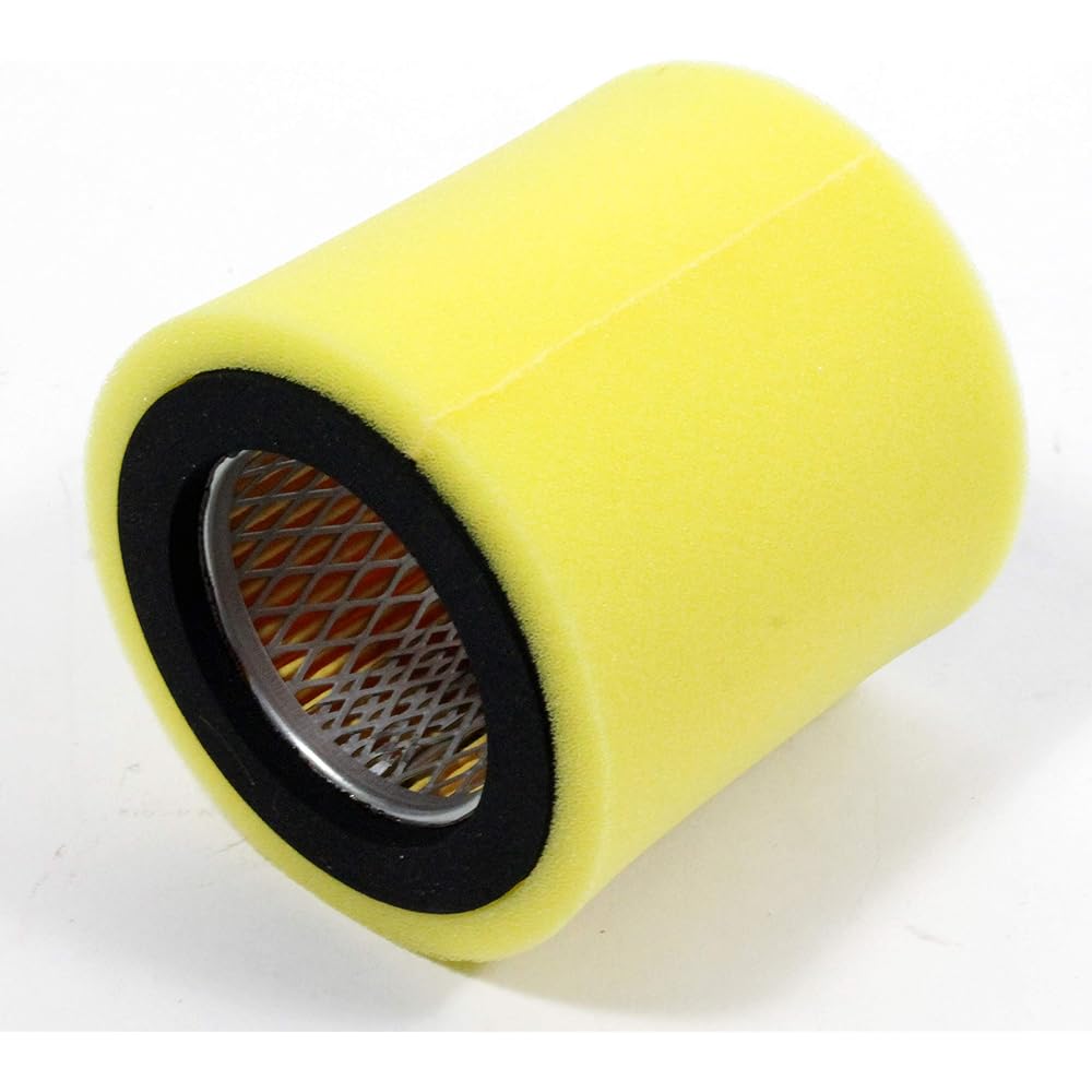 Kawasaki Genuine Element Air Filter 11013 – 1008