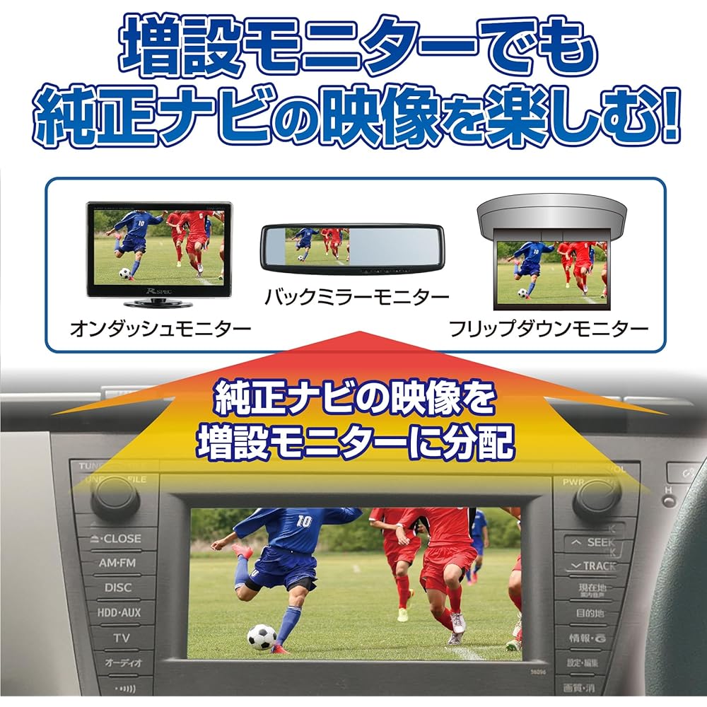 Datasystem Video Output Harness VHO-H21 Datasystem