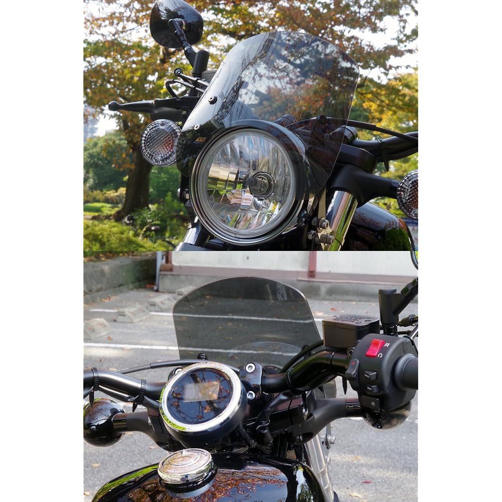 World Walk BOLT/C/R Fork Mount Screen Short Smoke ws-26-2ss for SCR950