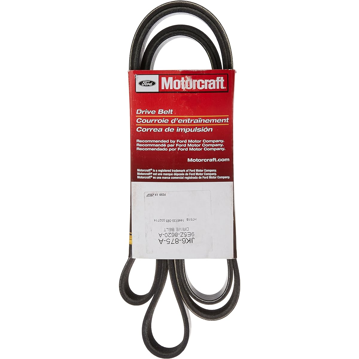 MotorCraft JK6875A Accessory Drive Belt