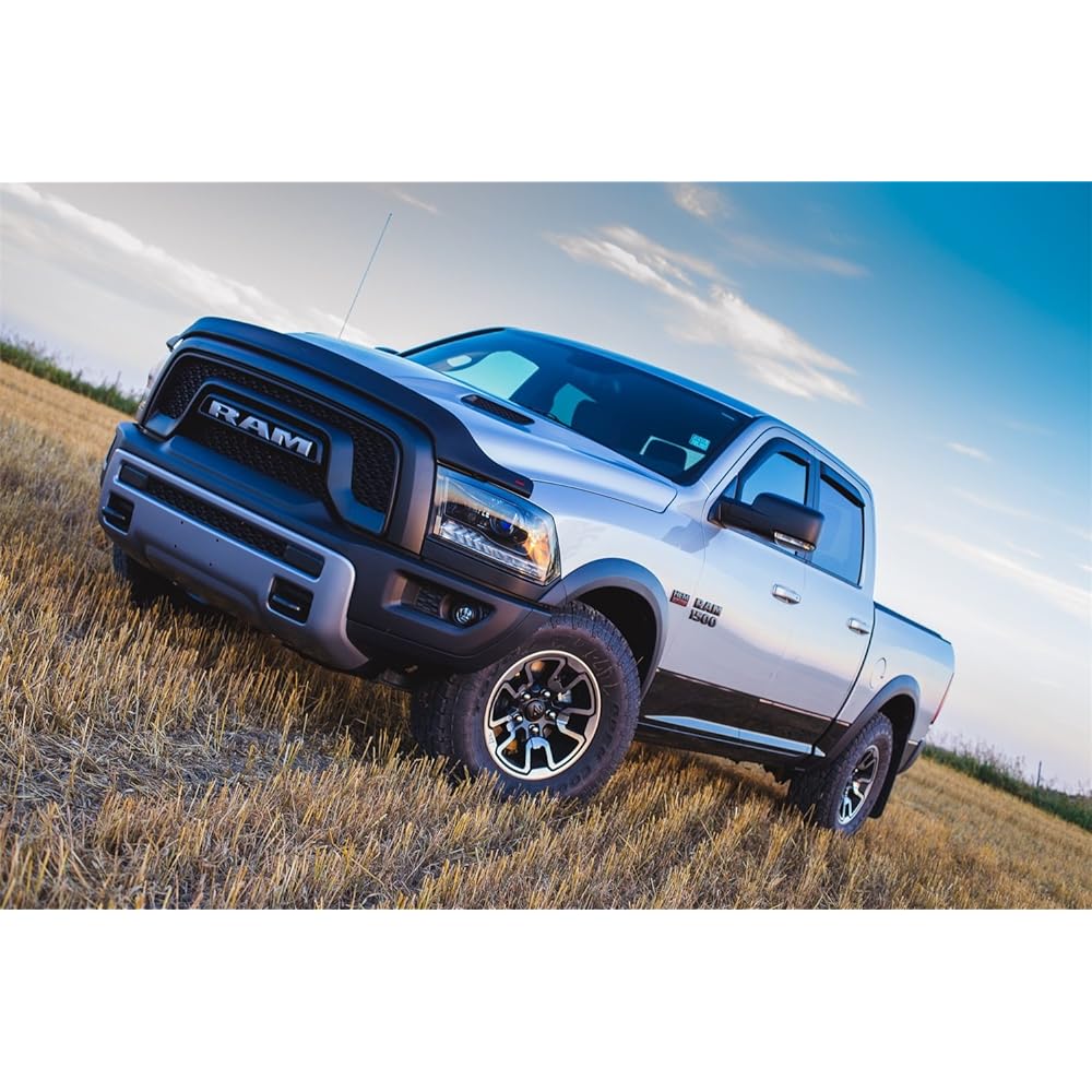 EGR 302655 Super guard food guard mat black finish select 09-18 RAM 1500 and 19+ RAM 1500 classic models