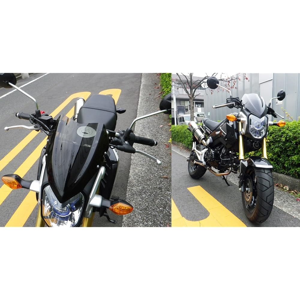 World walk meter visor ws-16m for Grom