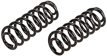 MOOG 81069 Coil Spring Set