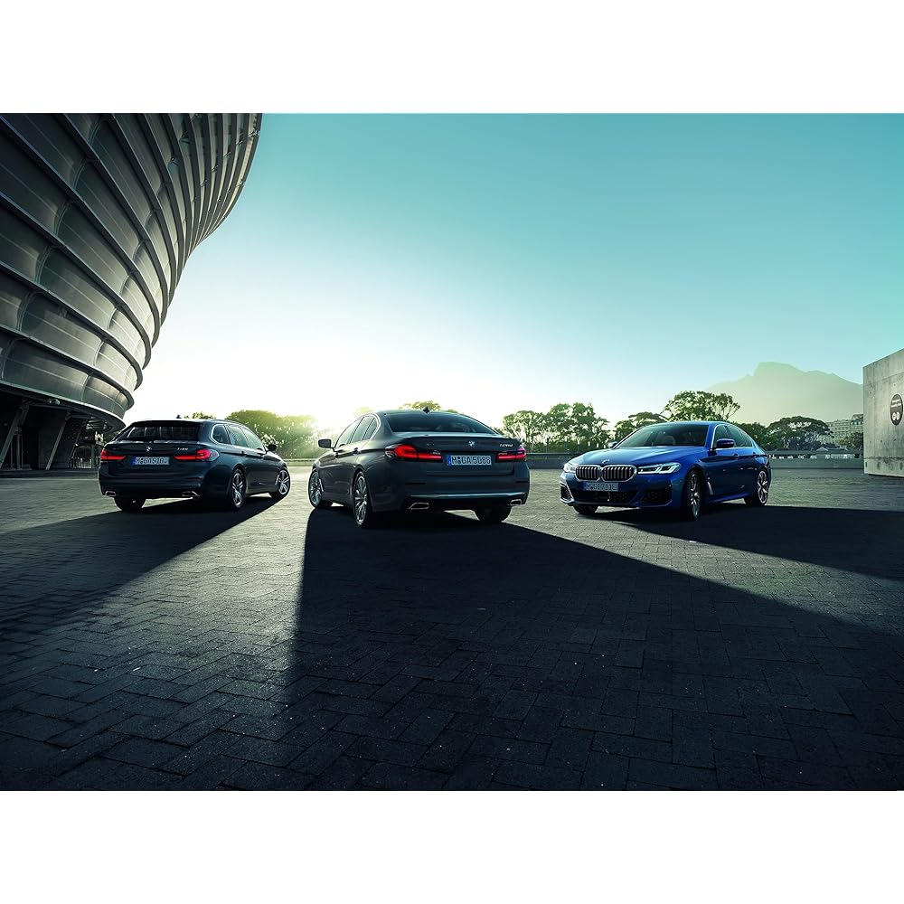 BMW Genuine Trunk Boots Rid Emblem Retering Plaque Badge 51147146052