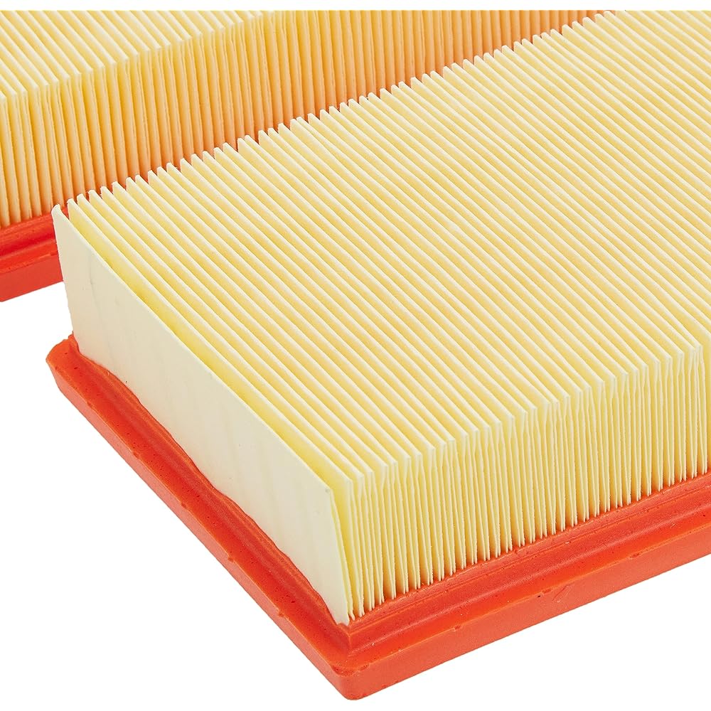 ECOGARD XA10664 Premium Engine Air Filter (Set of 2) 2 packs