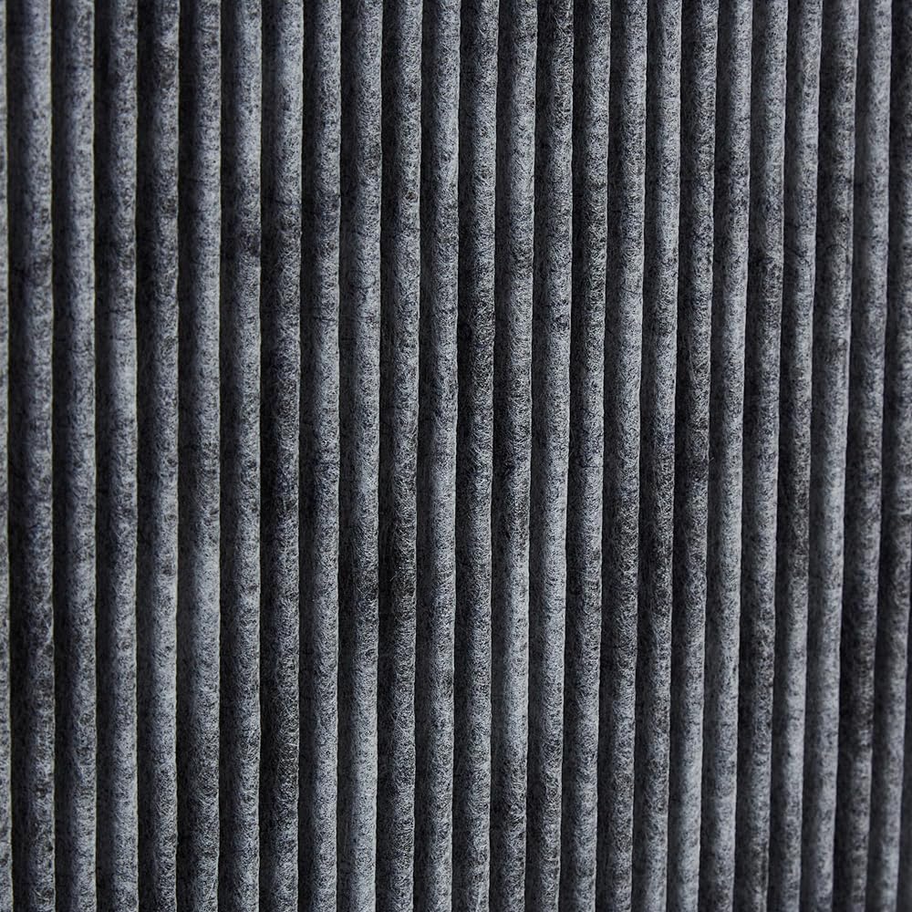 ACDELCO CF179C GM Original Equipment Cabin Air Filter