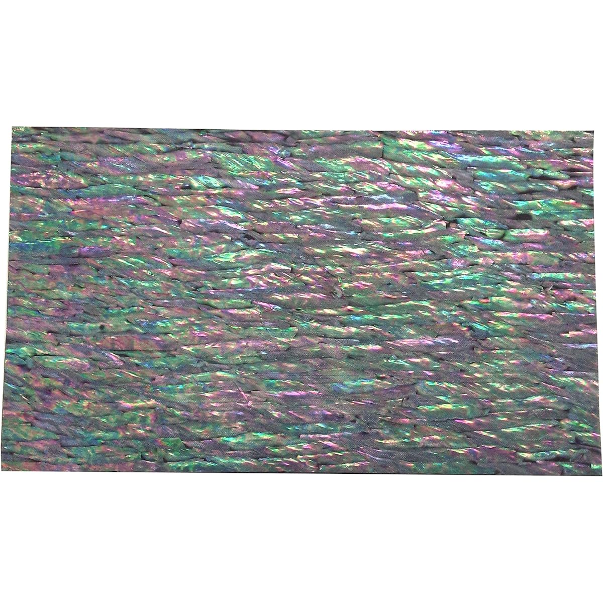 ANGLE Shell sheet split L Japanese abalone BK black