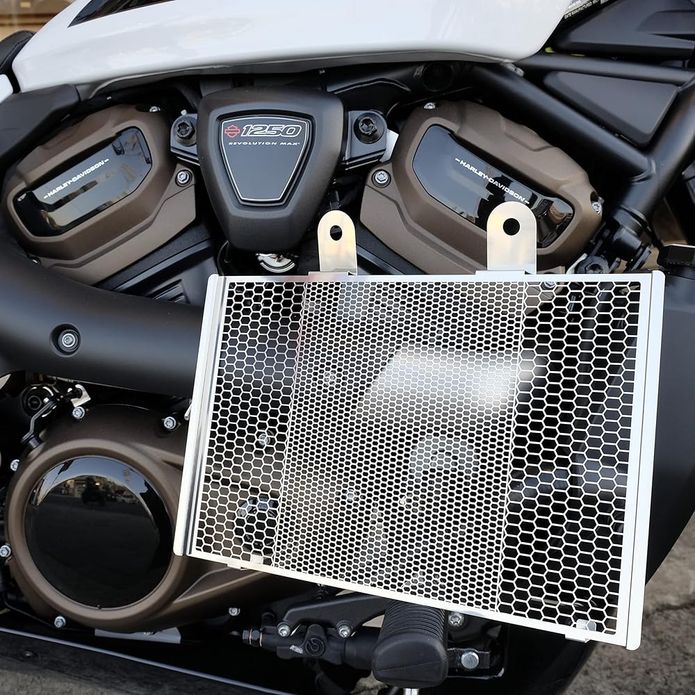 Terada Motors Sports Star S Radiator Core Guard Black