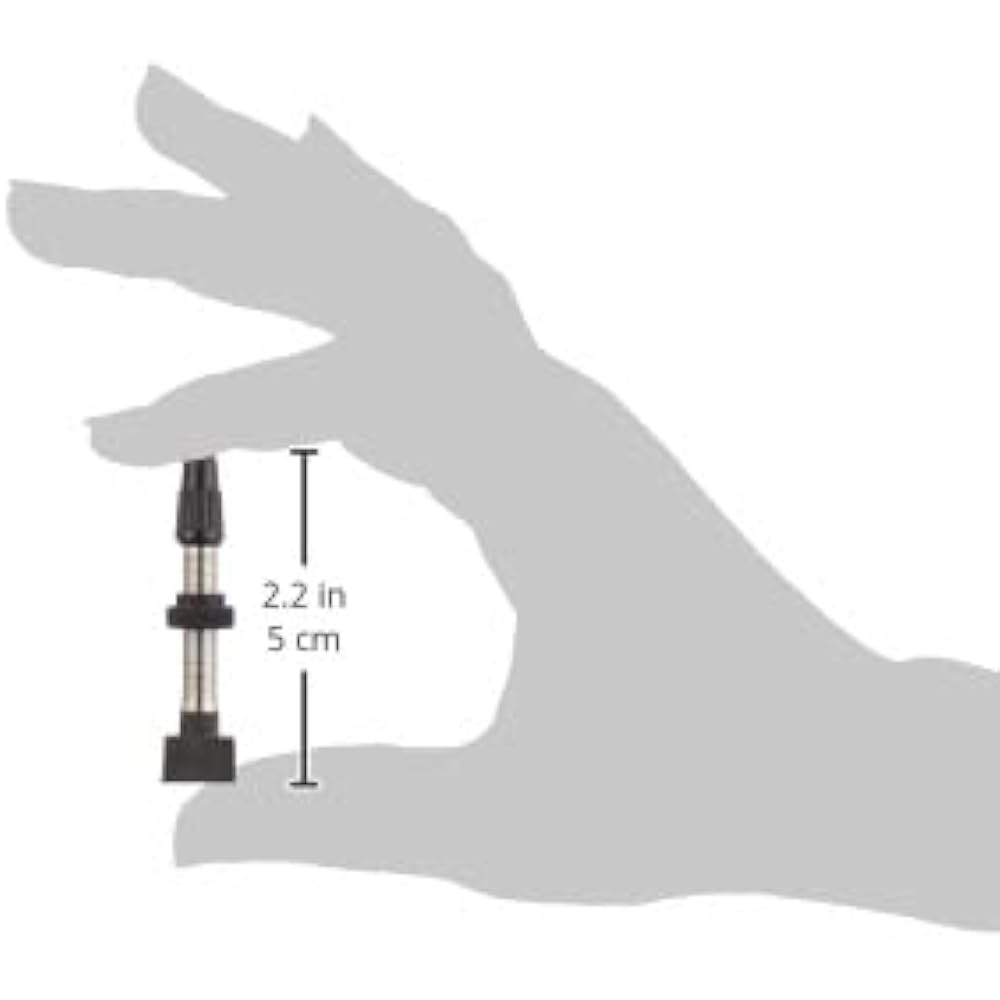 campagnolo (furigana: Campagnolo) WH-SH001・Application: 2-WAY FIT valve for medium profile