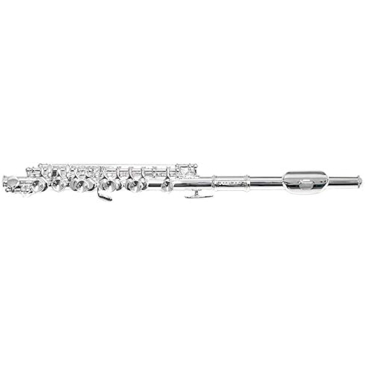 PLAYTECH Piccolo with nickel silver body and case PTPC-100