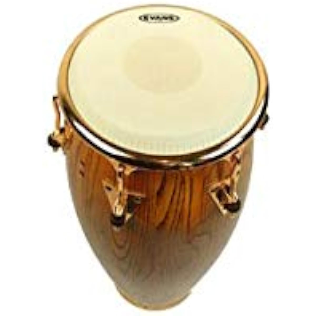 EVANS Conga Head EC1100