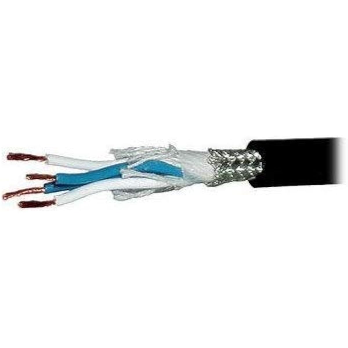 Canare GS-6 Guitar Cable with 1/4in TS Neutrik Connector 1 Foot Black 38024-1C