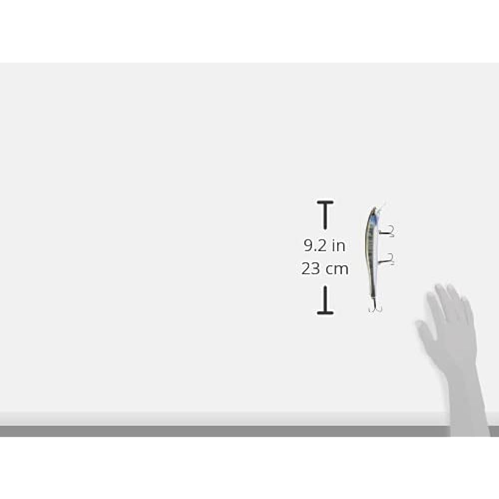 ism Magna Bellius #Various