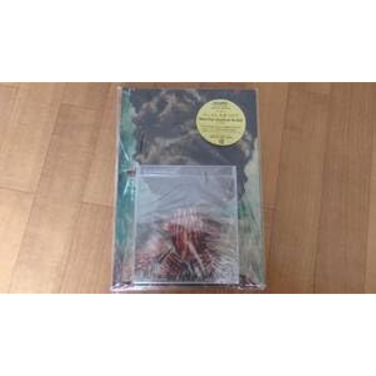 S sheet music 9mm Parabellum Bullet 9mm Parabellum Bullet Heart ni Hi wo Tsukete Tab Band score CD included First edition limited