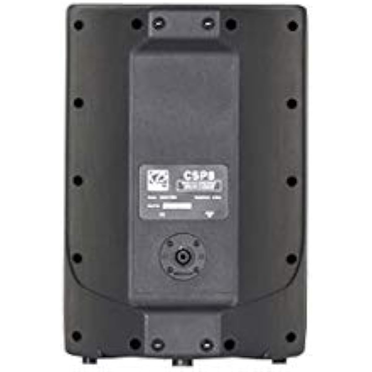 CLASSIC PRO SR Speaker CSP8 PA Speaker