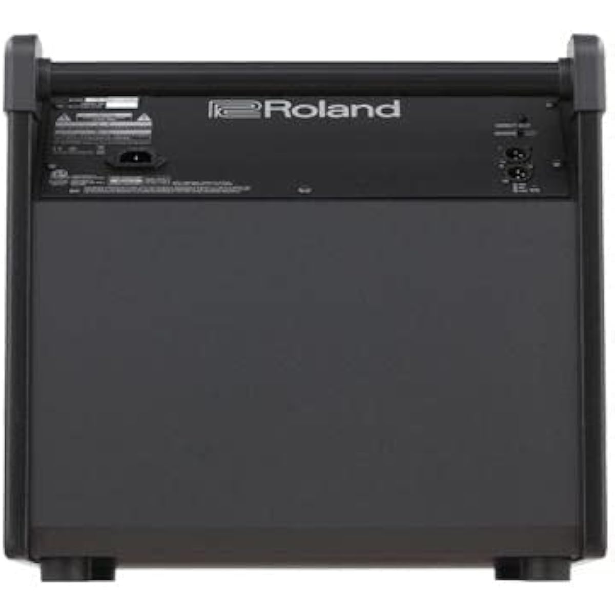 Roland ROLAND PM-200 Personal Monitor Personal monitor speaker