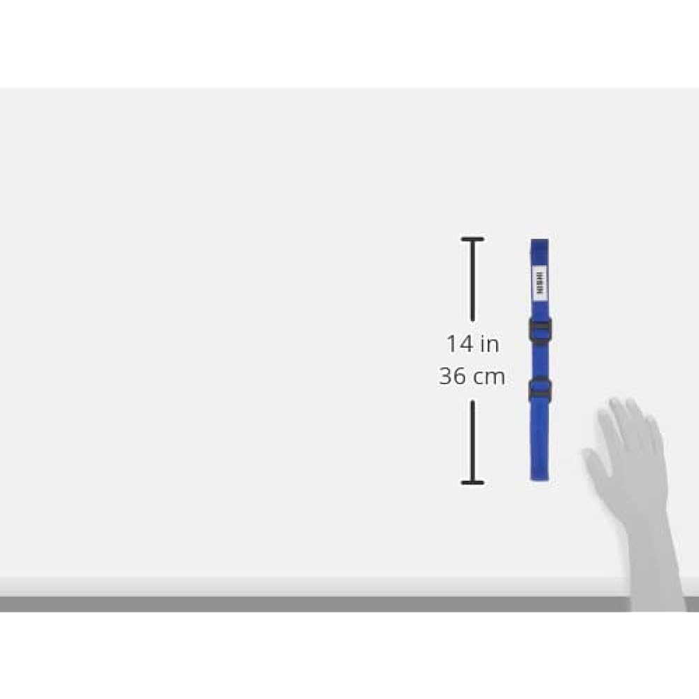 Nishi Sports (NISHI) Arm Swing Master II NT7714C Blue F
