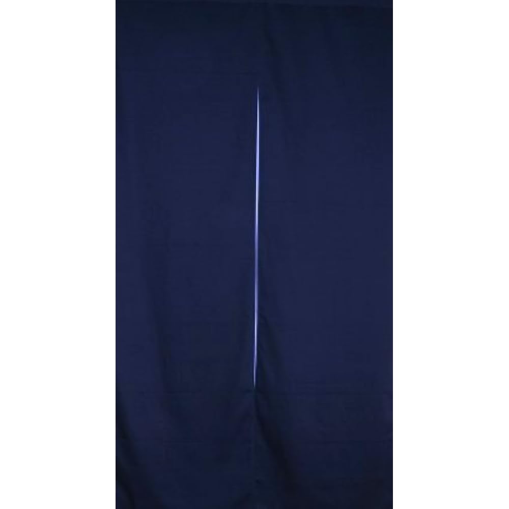 Yokohama Noren Monogatari Flame-retardant thick-colored plain curtain filled with cotton "Karasumi" W85H180cm
