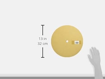 Tsuchiya Gap Brush Seal Silver Base Width 10X Brush Length 10mmX Length 30m SB200GY-30R