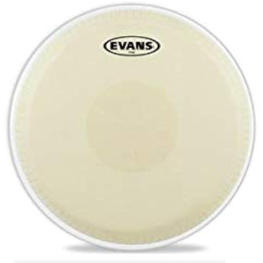 EVANS Conga Head EC1100