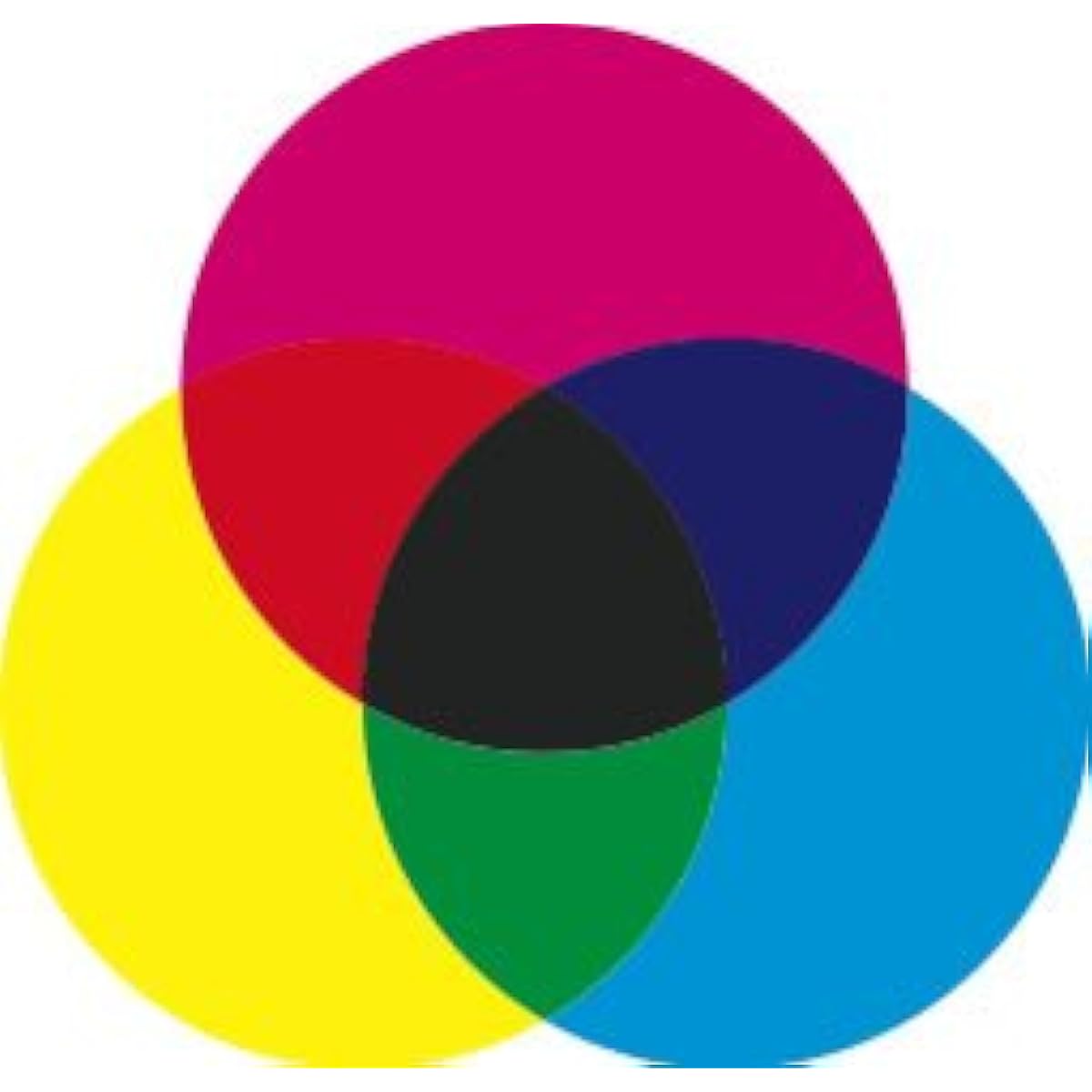 Rainbow Symphony Color Paddles Set with Diffraction Gratings