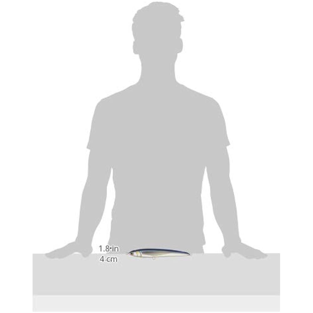 YAMASHITA Lure Rapide