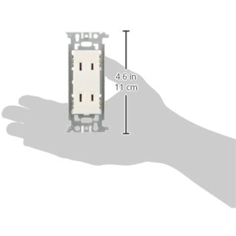 Panasonic (Panasonic) Embedded double outlet 10 pieces WN1302010