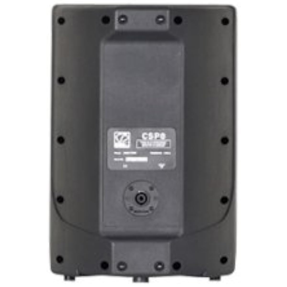 [Domestic regular product] CLASSIC PRO SR speaker CSP8