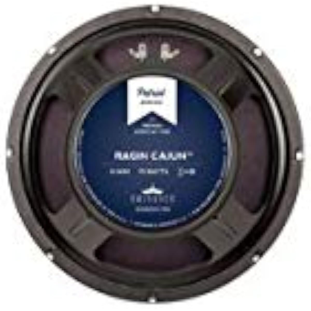 EMINENCE RAGIN CAJUN 8Ω Guitar Amplifier Speaker Unit