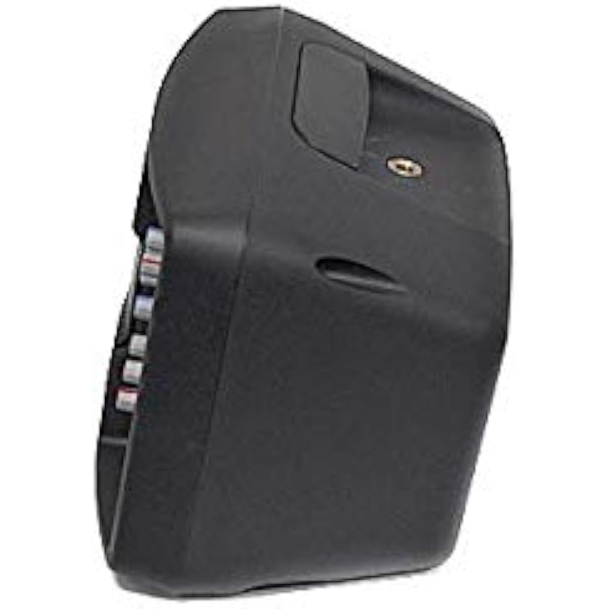 CLASSIC PRO Powered Speaker MoniOne PA Speaker