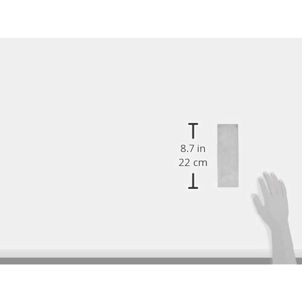 Naniwa Polishing Industry Naniwa (NANIWA) Goken Arata Professional Super Finishing Whetstone #5000 210×70×15mm NA-0500