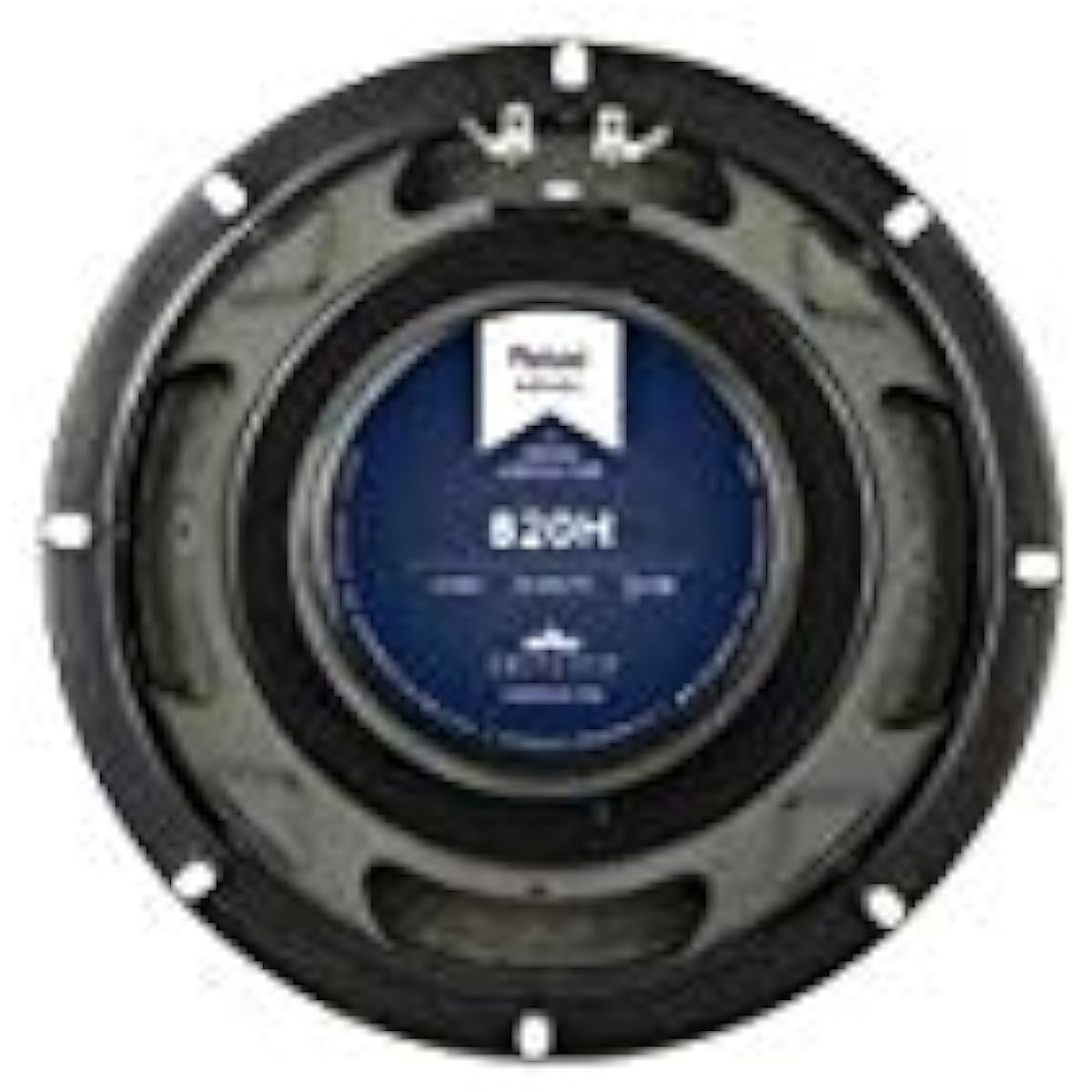 EMINENCE 820H 4Ω Guitar Amplifier Speaker Unit Guitar Amplifier Speaker