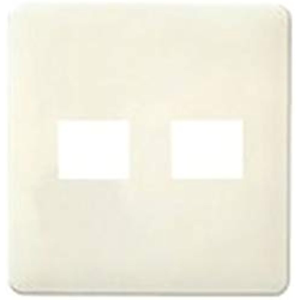Panasonic Modern Plate for 2 Rikyu Color WN6002G