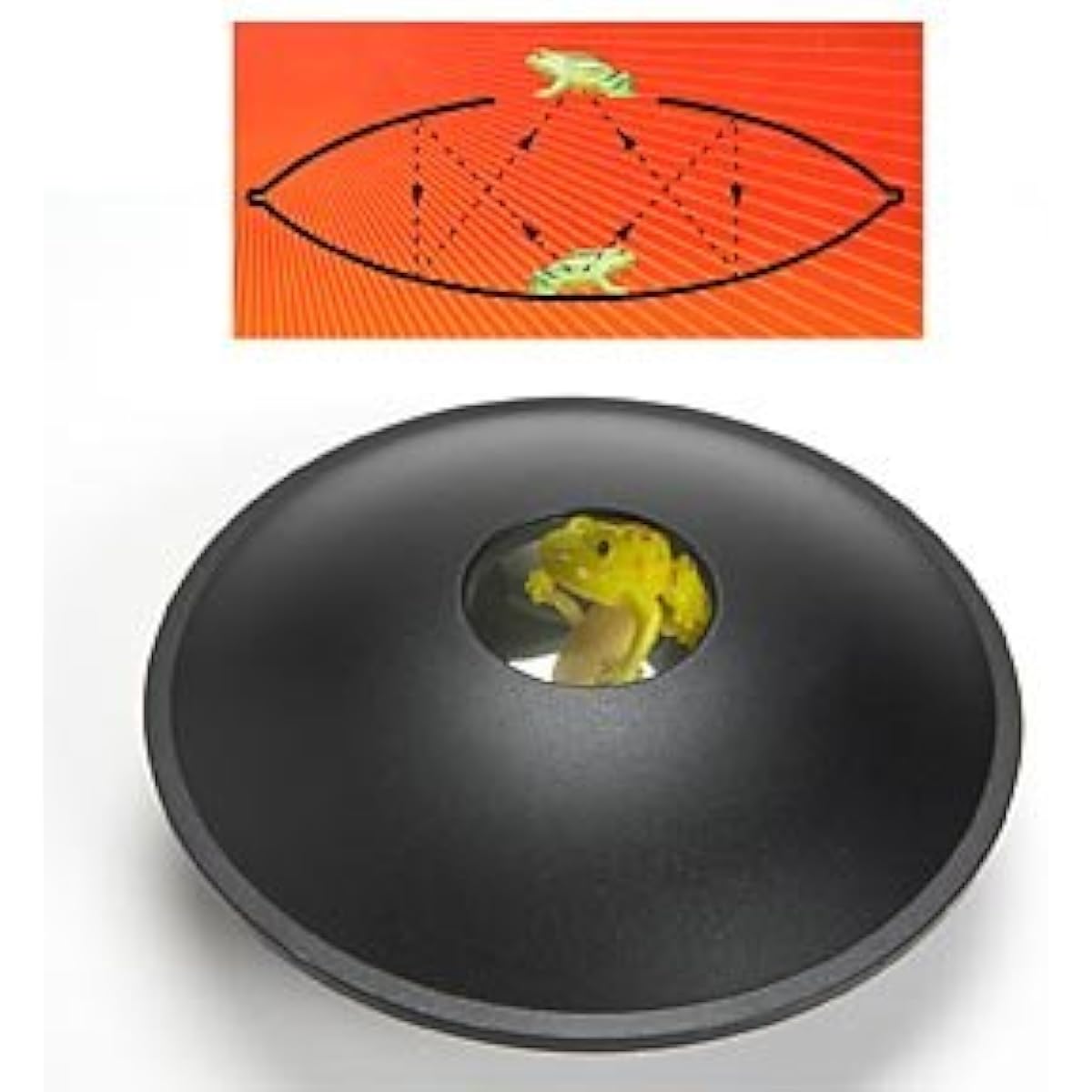 ComputerGear 3D Mirror Scope Illusion Creator Mirage 3D Hologram Maker Parabolic Reflector