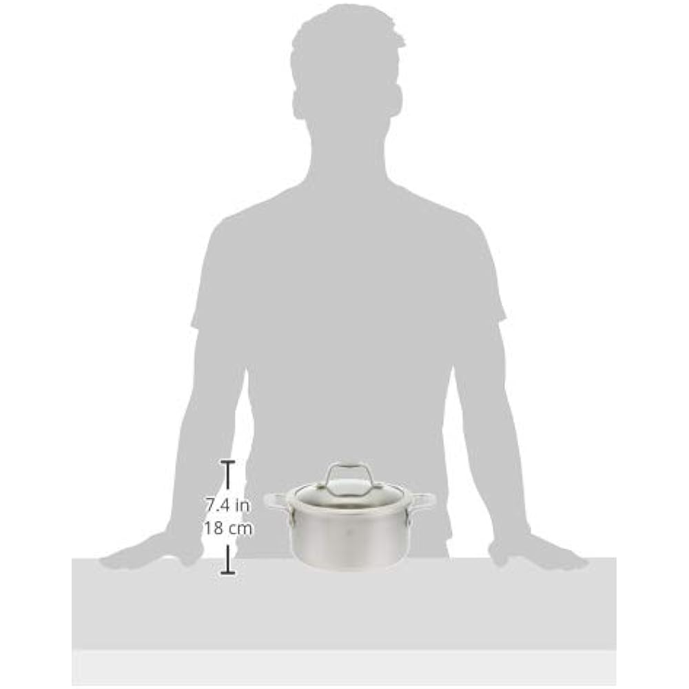 Zwilling "Zwilling Spirit Stew Pot 20cm 3.0L" Two-handed pot, stainless steel, 3-layer structure on all surfaces, glass lid, IH compatible, 10 year warranty [Japanese official product] 64092-202