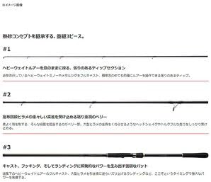 SHIMANO Rod Nessa BB Various S1002M/S1002MH/S1008MMH/S1102MMH Surf Game Flounder