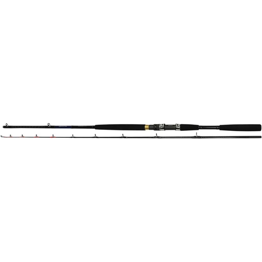 DAIWA Boat Rod Hiramebake X 210 Fishing Rod