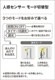 Orderic LED Porch Light Bulb Separate Packaging OG254025LCR