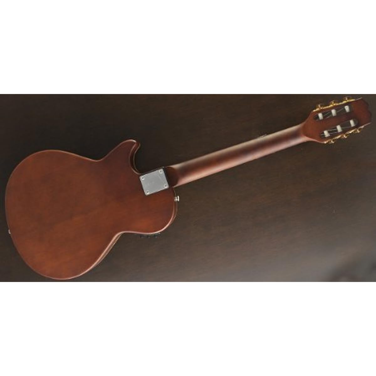PLAYTECH Electric Gut Guitar EC800
