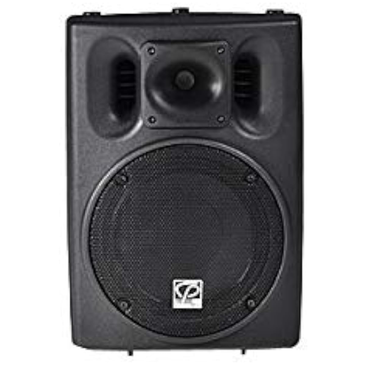 CLASSIC PRO SR Speaker CSP10 PA Speaker