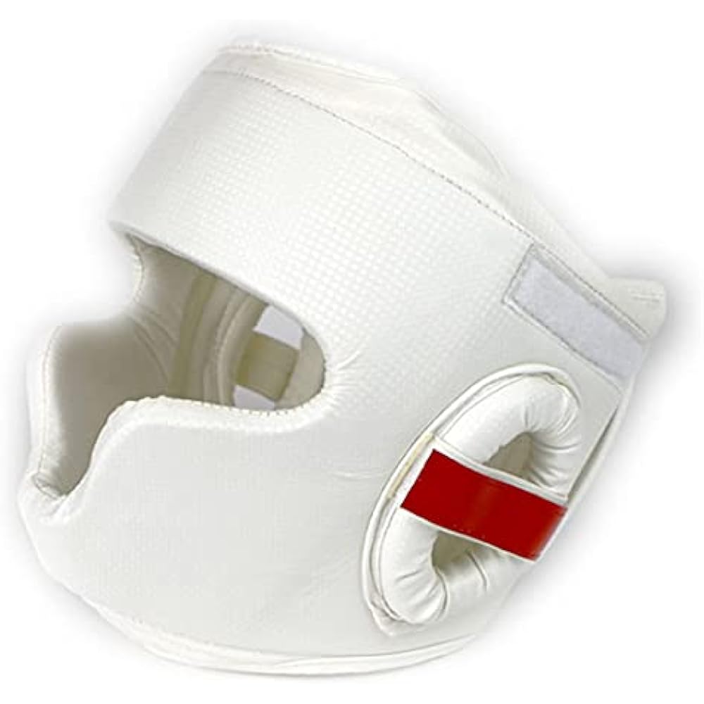 ISAMI Wide View Head Guard II TT-45