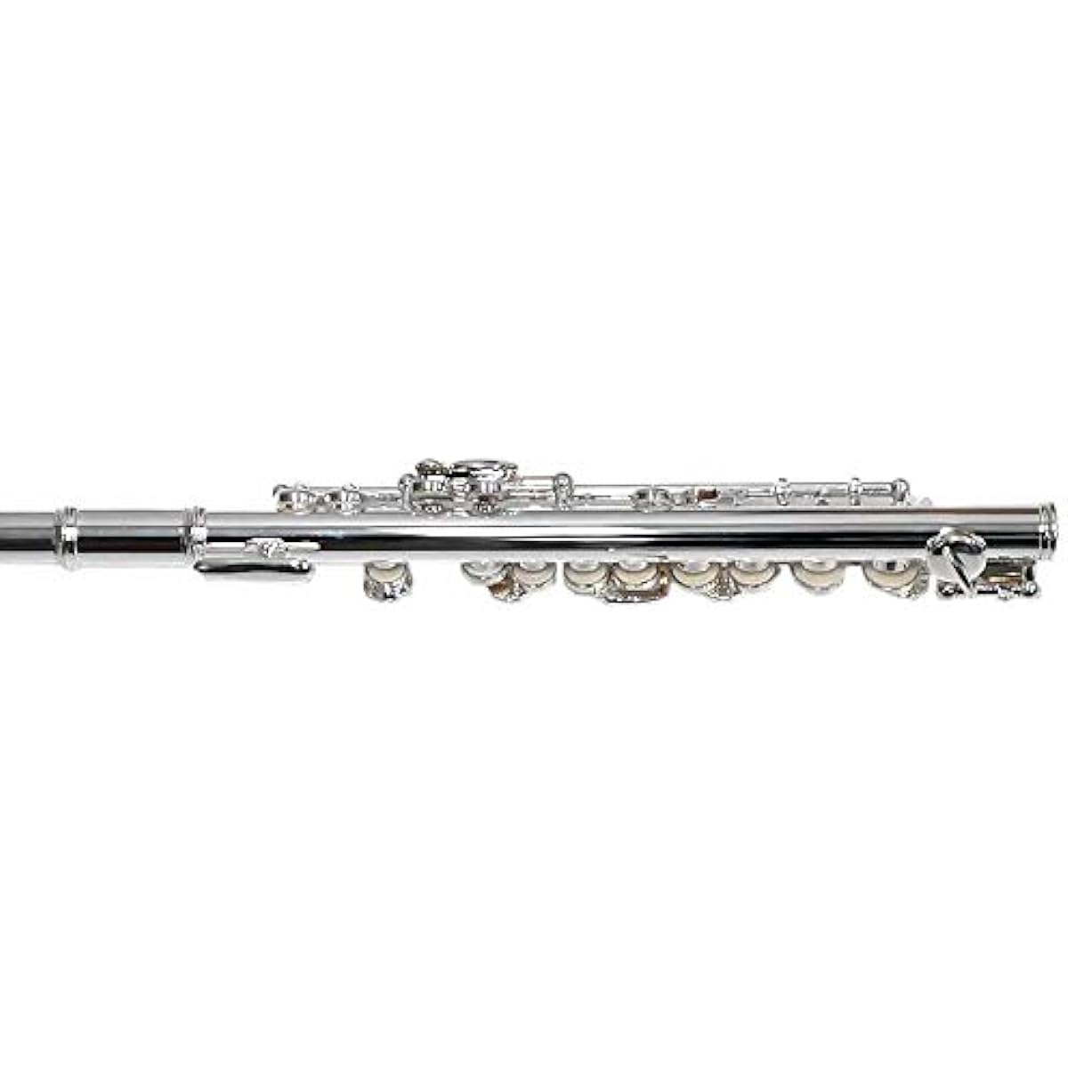 PLAYTECH Piccolo with nickel silver body and case PTPC-100