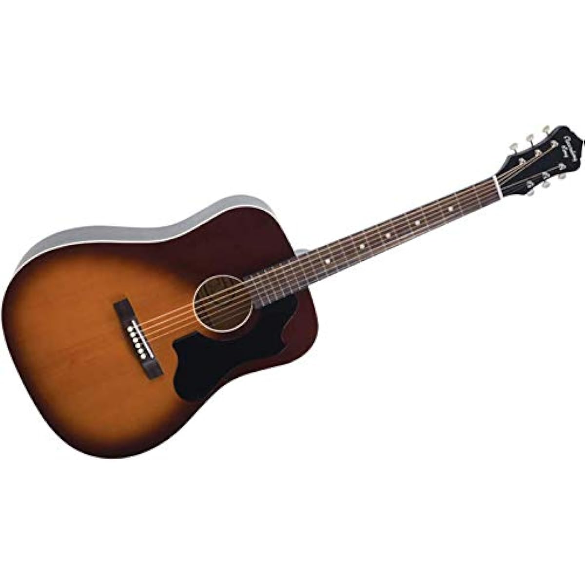 RECORDING KING Acoustic Guitar RDS-9-TS