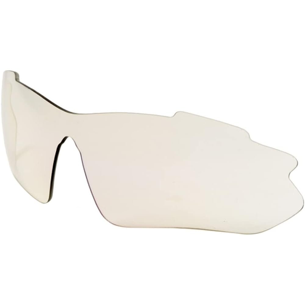 [Captain Stag] Sunglasses with polarized smoke lenses CSG-001-1